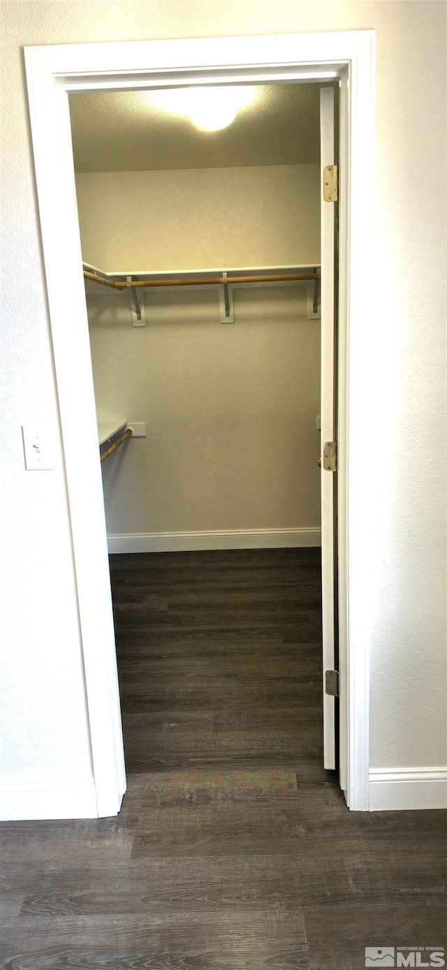 walk in closet featuring dark hardwood / wood-style floors