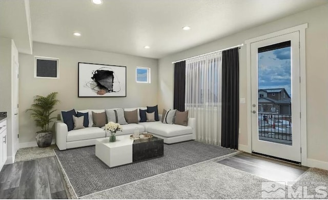 living room featuring hardwood / wood-style floors