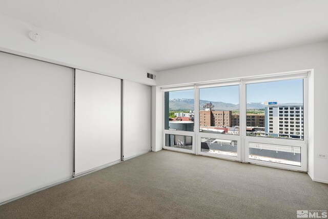 spare room featuring carpet flooring