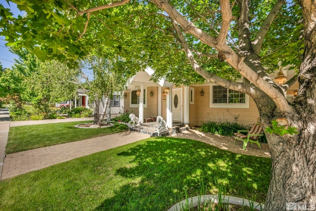 obstructed view of property with a front lawn