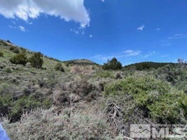 4720 Lost Burro Rd, Virginia City NV, 89521 land for sale