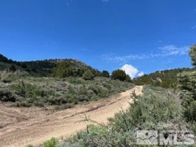 Listing photo 3 for 4720 Lost Burro Rd, Virginia City NV 89521