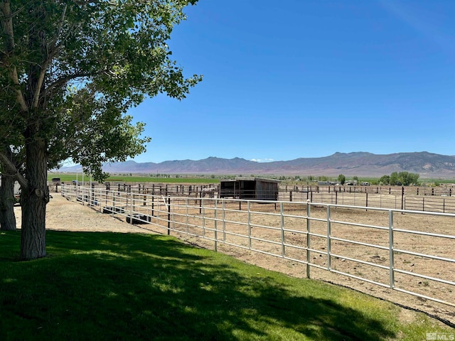 view of yard featuring a mountain view and a rural view