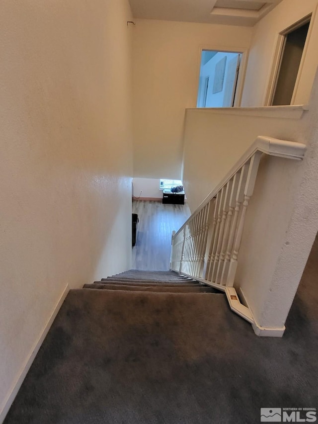 stairway featuring hardwood / wood-style floors