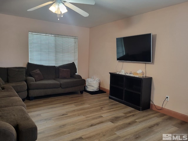 living room featuring ceiling fan and light wood-type flooring