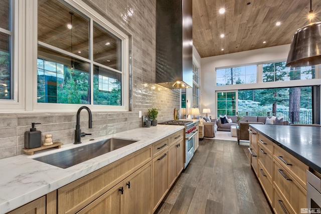 kitchen with sink, dark hardwood / wood-style flooring, range hood, a towering ceiling, and high end stainless steel range