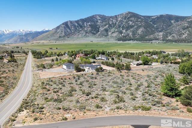 481 Bavarian, Minden NV, 89705 land for sale