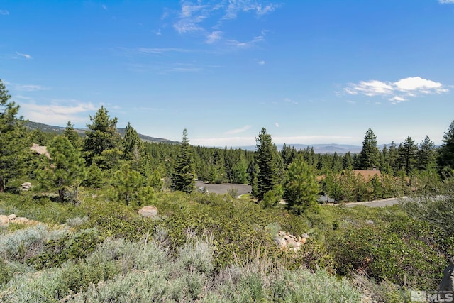 240 E Jeffrey Pine Rd, Reno NV, 89511 land for sale