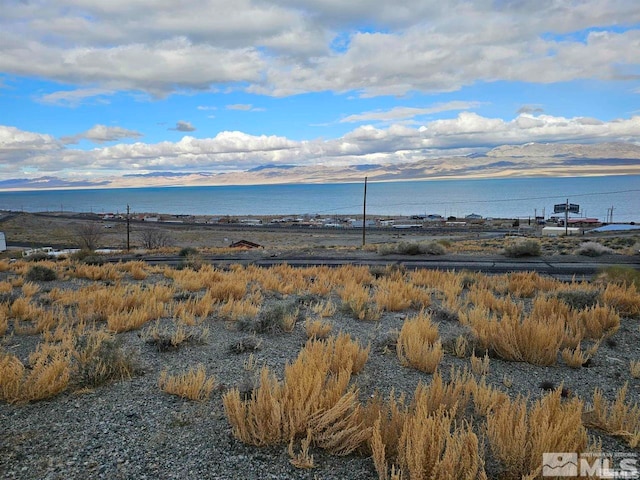 350 Walker Dr, Walker Lake NV, 89415 land for sale