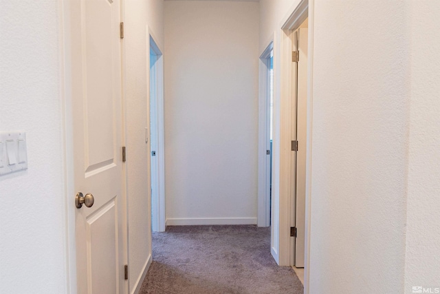 corridor featuring carpet floors