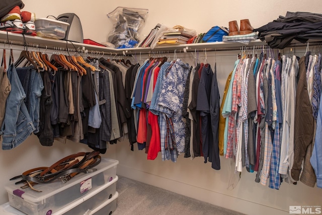 walk in closet with carpet flooring