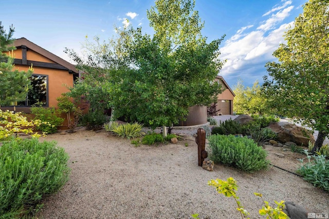 view of yard featuring a mountain view and a rural view