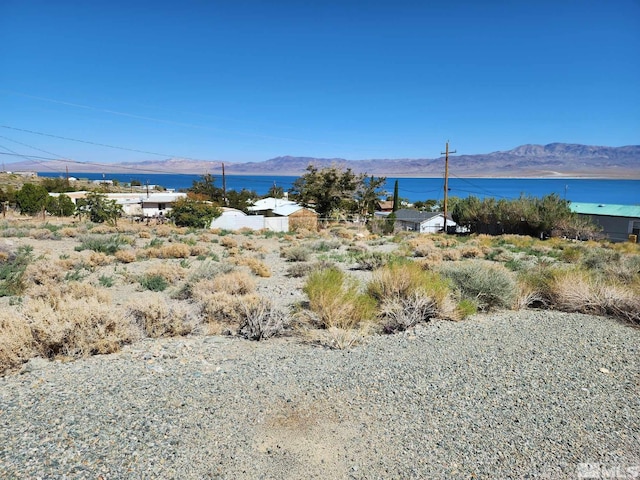 539 Walker Dr, Walker Lake NV, 89415 land for sale