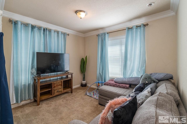 living room with carpet flooring and crown molding