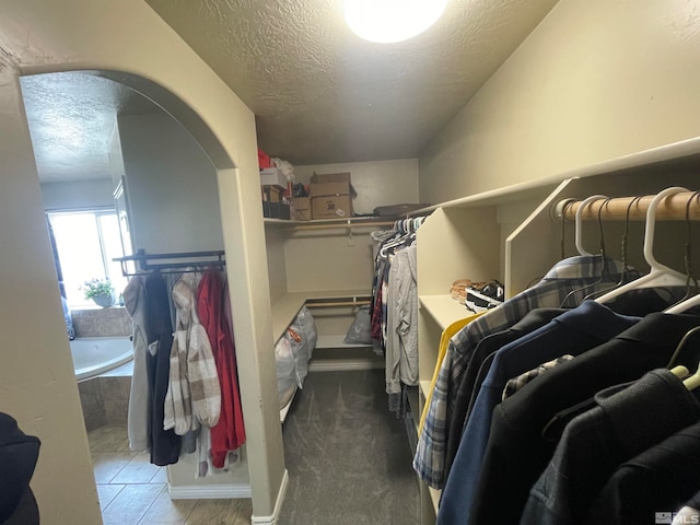 walk in closet with carpet floors