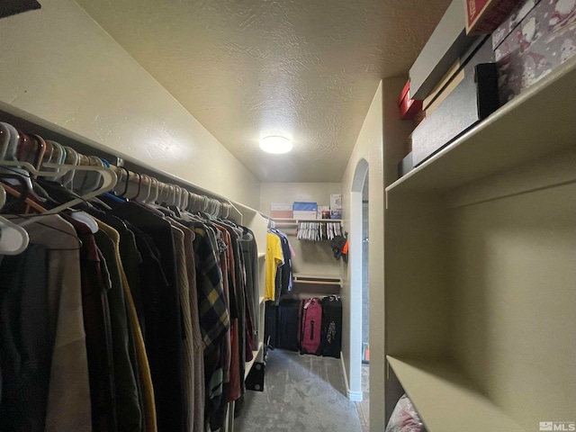 spacious closet featuring carpet floors