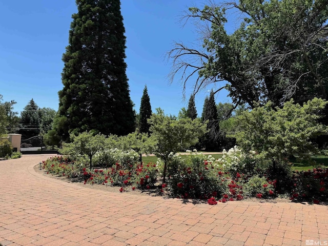 view of patio / terrace featuring a gate