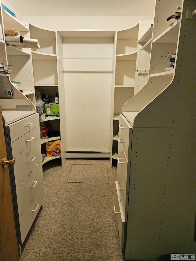 spacious closet featuring carpet