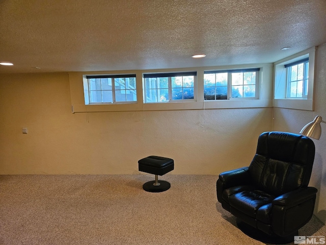 unfurnished room with carpet and a textured ceiling