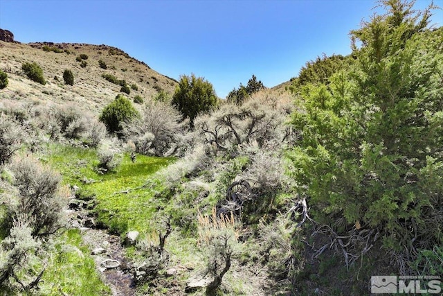 0 Pah Rah Springs Rd, Reno NV, 89510 land for sale