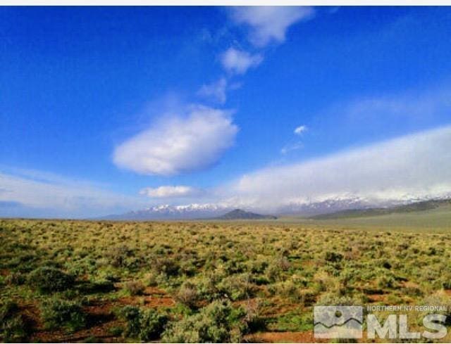 1001039 N Izzenhood Basin Rd, Battle Mountain NV, 89820 land for sale