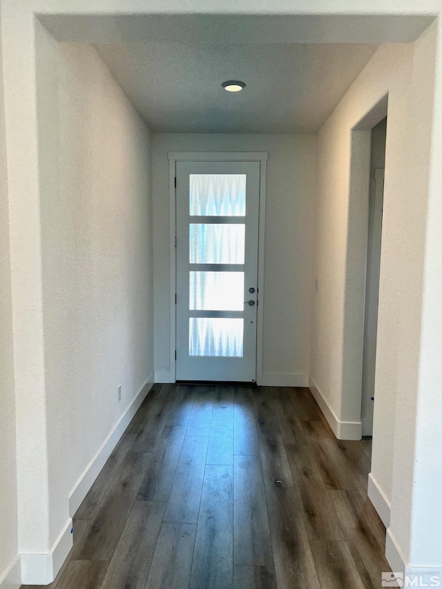 doorway to outside with dark wood-type flooring