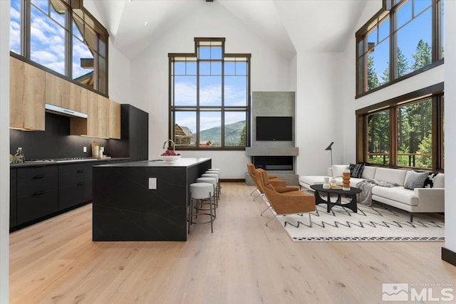 kitchen featuring a center island, high vaulted ceiling, light hardwood / wood-style flooring, a breakfast bar area, and extractor fan