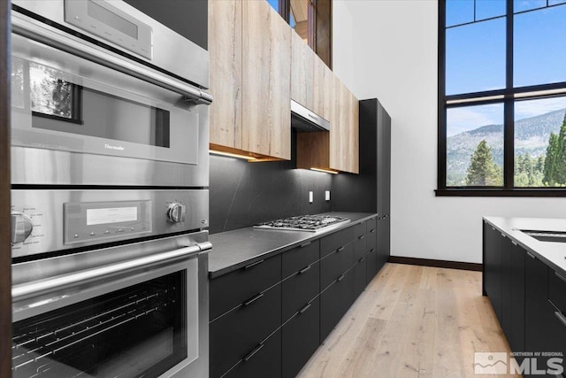 kitchen featuring stainless steel appliances, range hood, backsplash, a mountain view, and light hardwood / wood-style floors