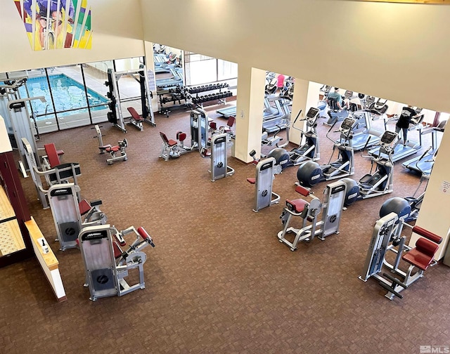 workout area featuring carpet flooring