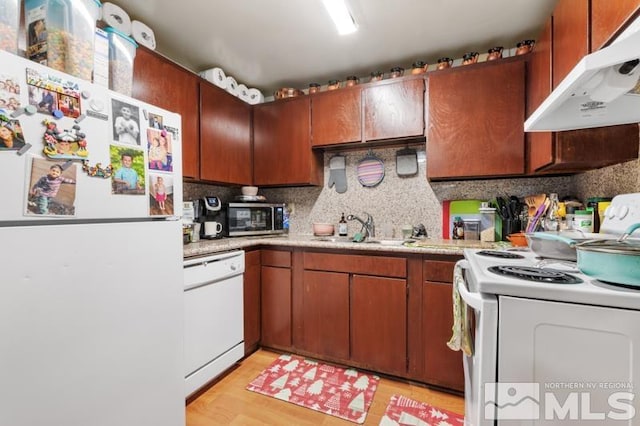 kitchen with white appliances, backsplash, light hardwood / wood-style flooring, and sink