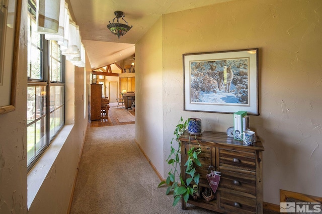 hall with carpet flooring and lofted ceiling