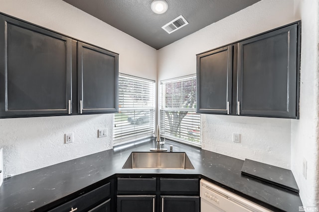 kitchen with dishwasher and sink