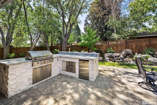 view of patio / terrace with area for grilling and grilling area