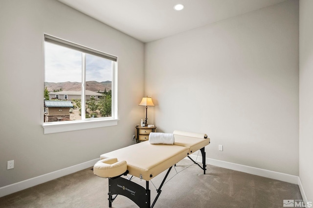 home office with carpet flooring