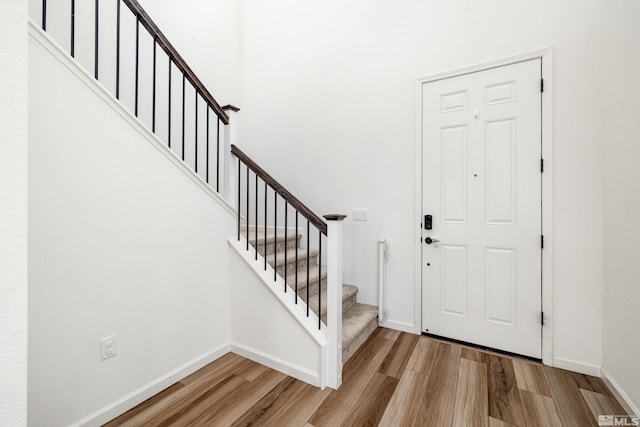 entryway featuring wood-type flooring