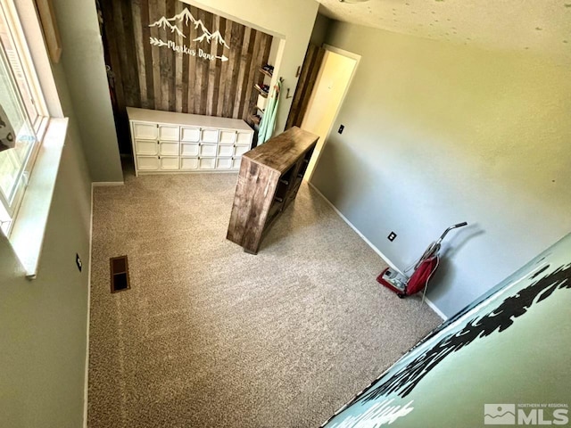 playroom with carpet flooring and a textured ceiling