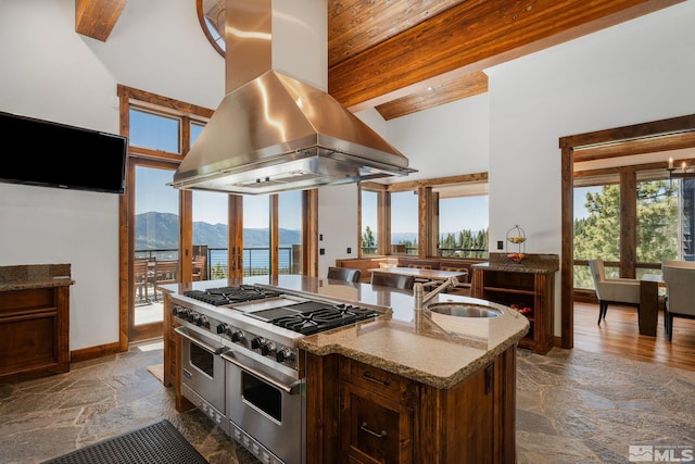 kitchen featuring a healthy amount of sunlight, double oven range, sink, and island range hood