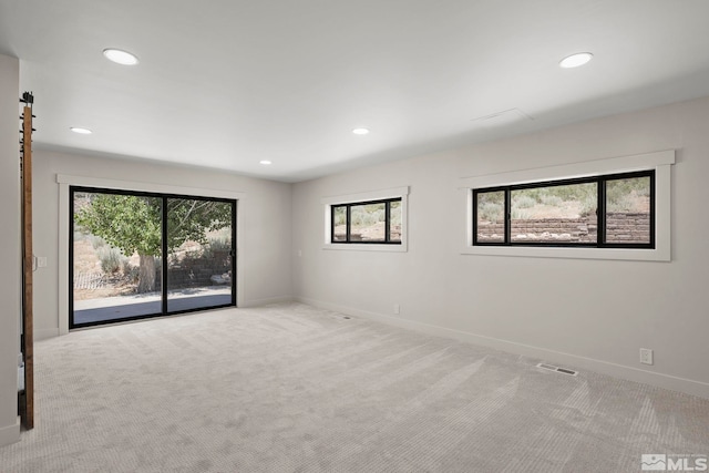 carpeted spare room with plenty of natural light