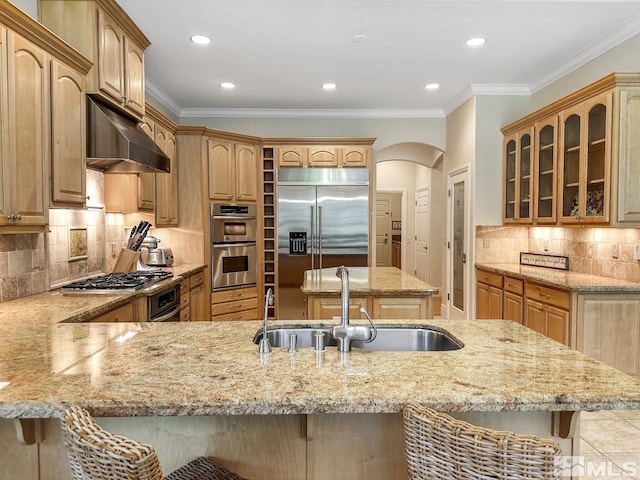 kitchen featuring appliances with stainless steel finishes, sink, ventilation hood, ornamental molding, and a breakfast bar