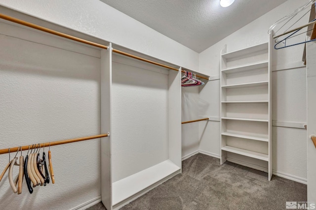 spacious closet featuring carpet and lofted ceiling