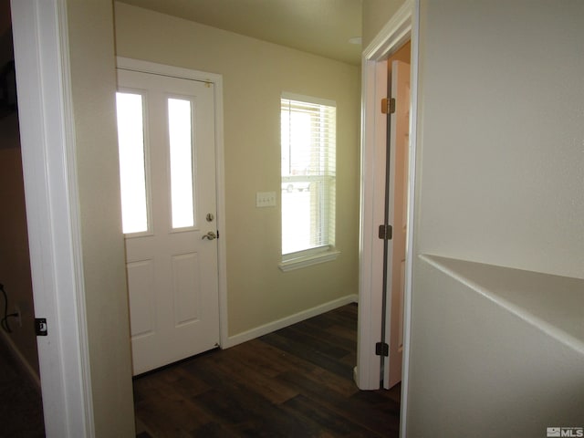 foyer entrance featuring dark hardwood / wood-style floors