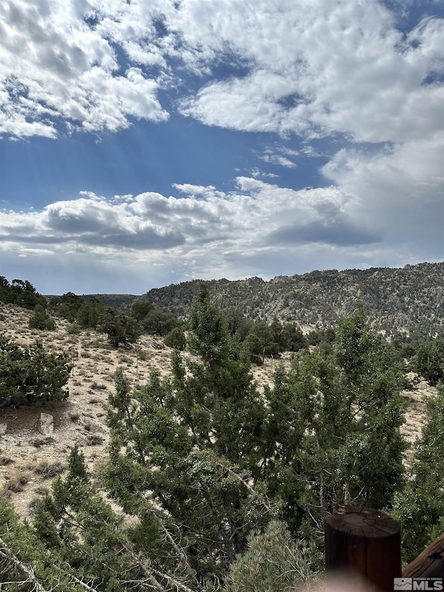 view of mountain feature