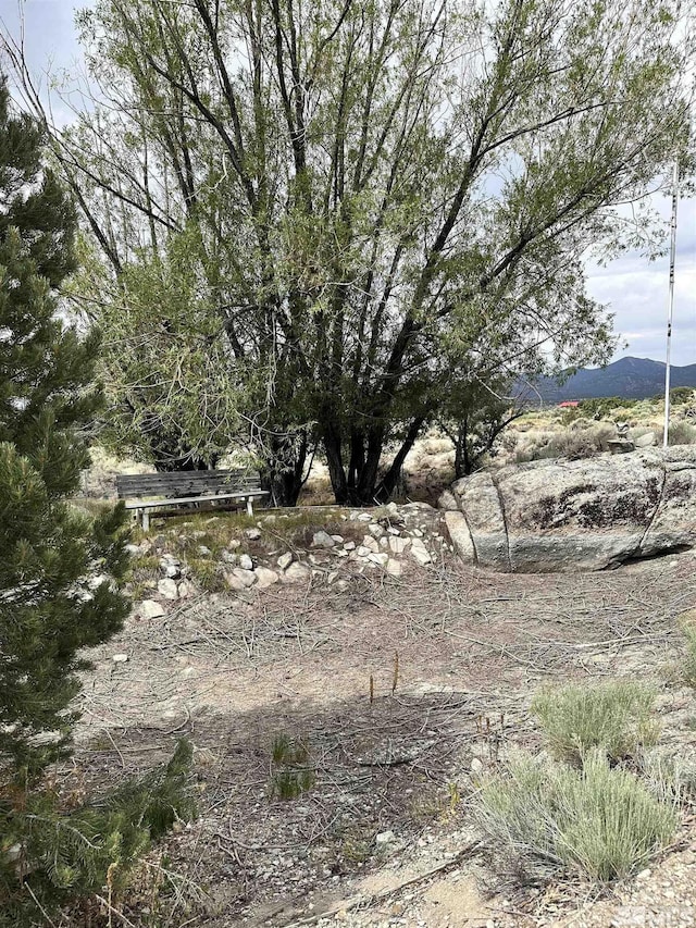 view of local wilderness featuring a mountain view