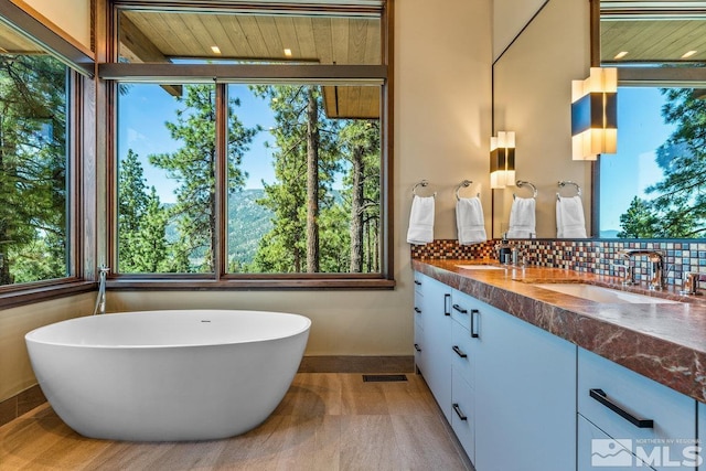 bathroom with vanity, a tub, a healthy amount of sunlight, and backsplash