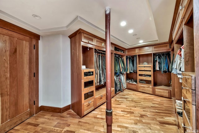 walk in closet with light wood-type flooring