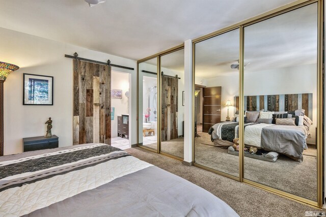 bedroom featuring multiple closets, carpet, and a barn door