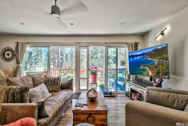 living room with ceiling fan, wood-type flooring, and a healthy amount of sunlight