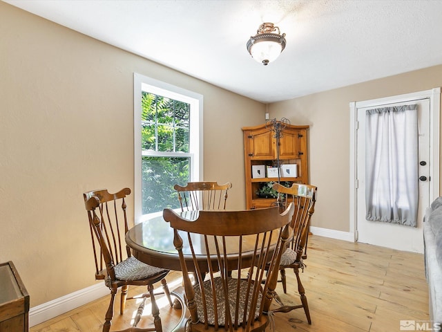 dining space with light hardwood / wood-style flooring