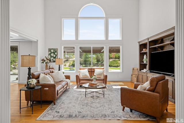 living room featuring a towering ceiling and light wood-type flooring