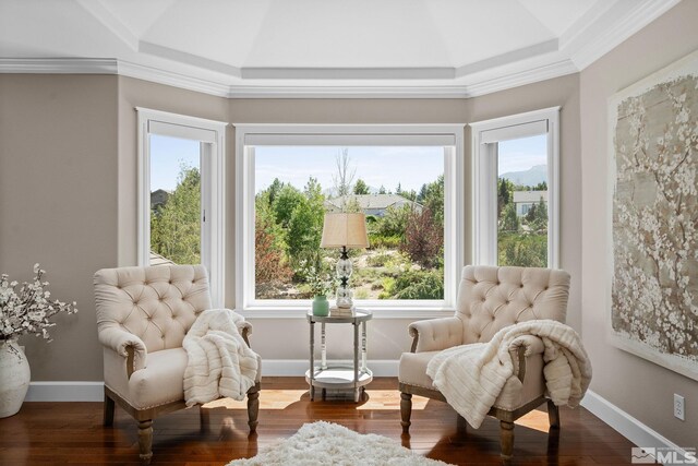 sitting room featuring hardwood / wood-style flooring and a tray ceiling